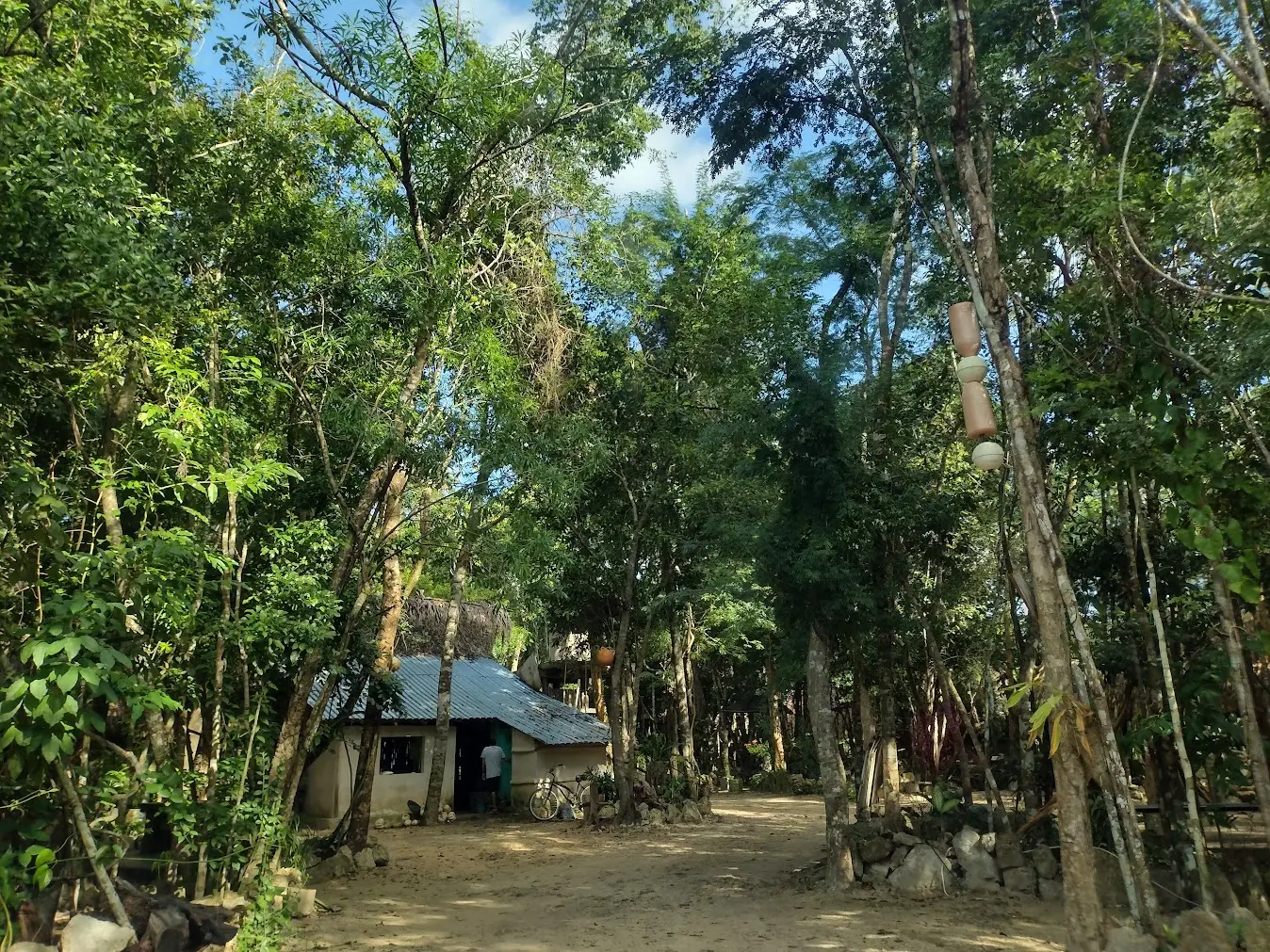 Jungle cenote in Riviera Maya
